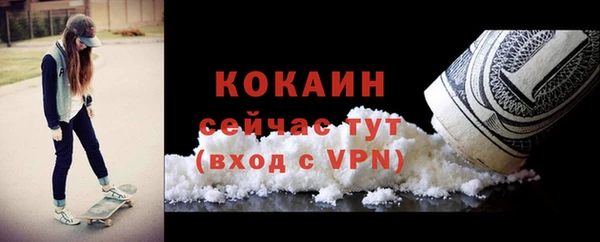 прущие крисы Няндома