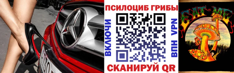 купить наркоту  Кукмор  Псилоцибиновые грибы мухоморы 